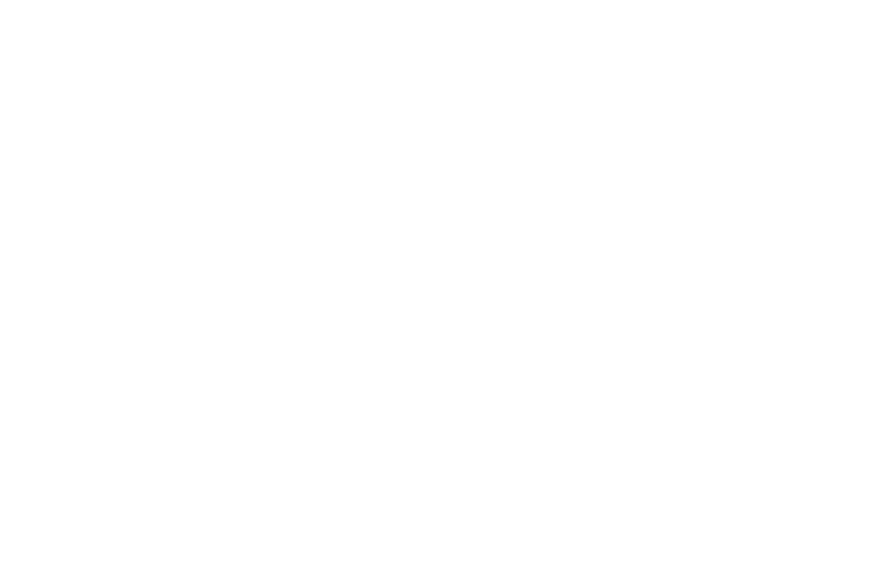 Seattle Mag Logo
